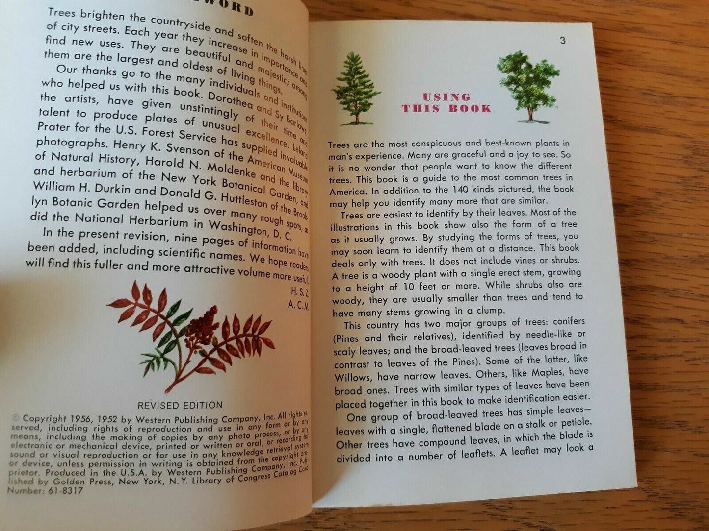 A Guide to Familiar American Trees Golden Nature by Zim and Martin 1956