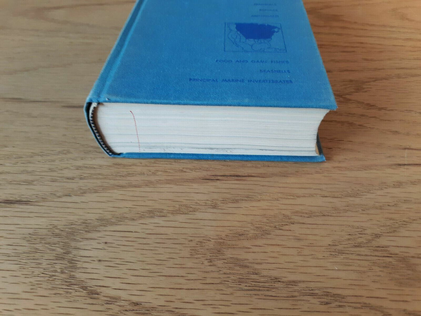 Complete Field Guide To American Wildlife, Henry Collins, 1959