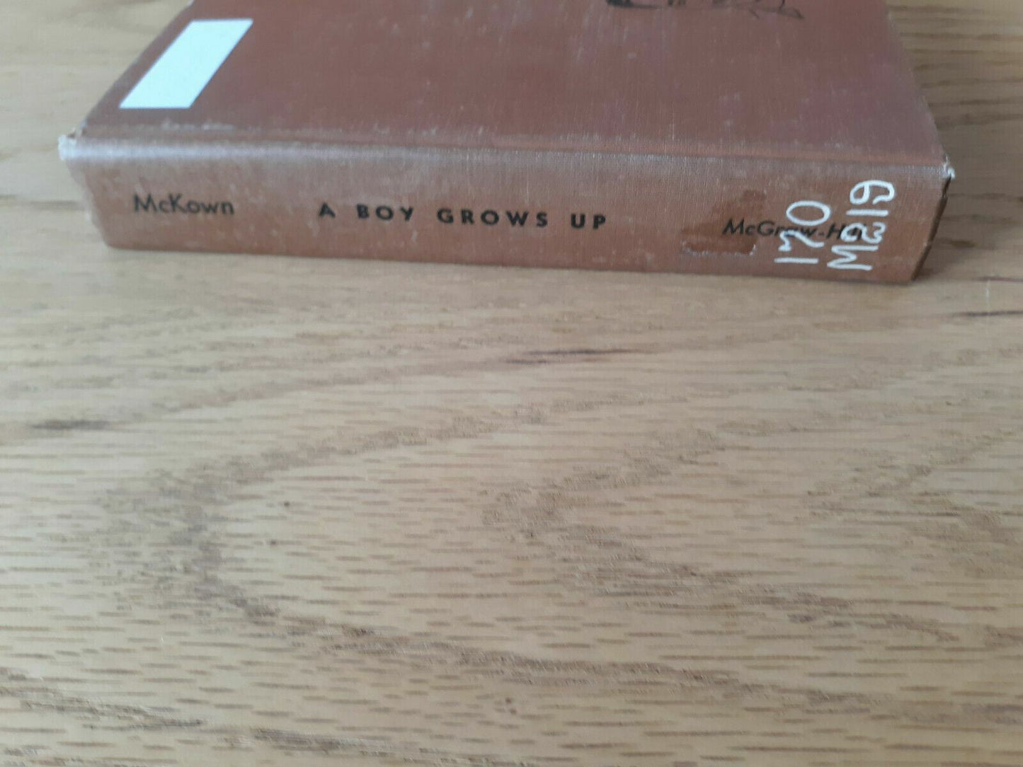 A Boy Grows Up by Harry McKown 1949