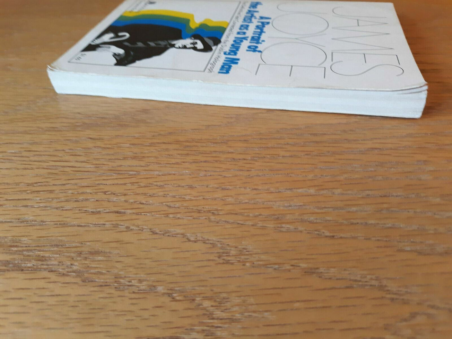 A Portrait of the Artist as a Young Man James Joyce Viking Paperback 1974