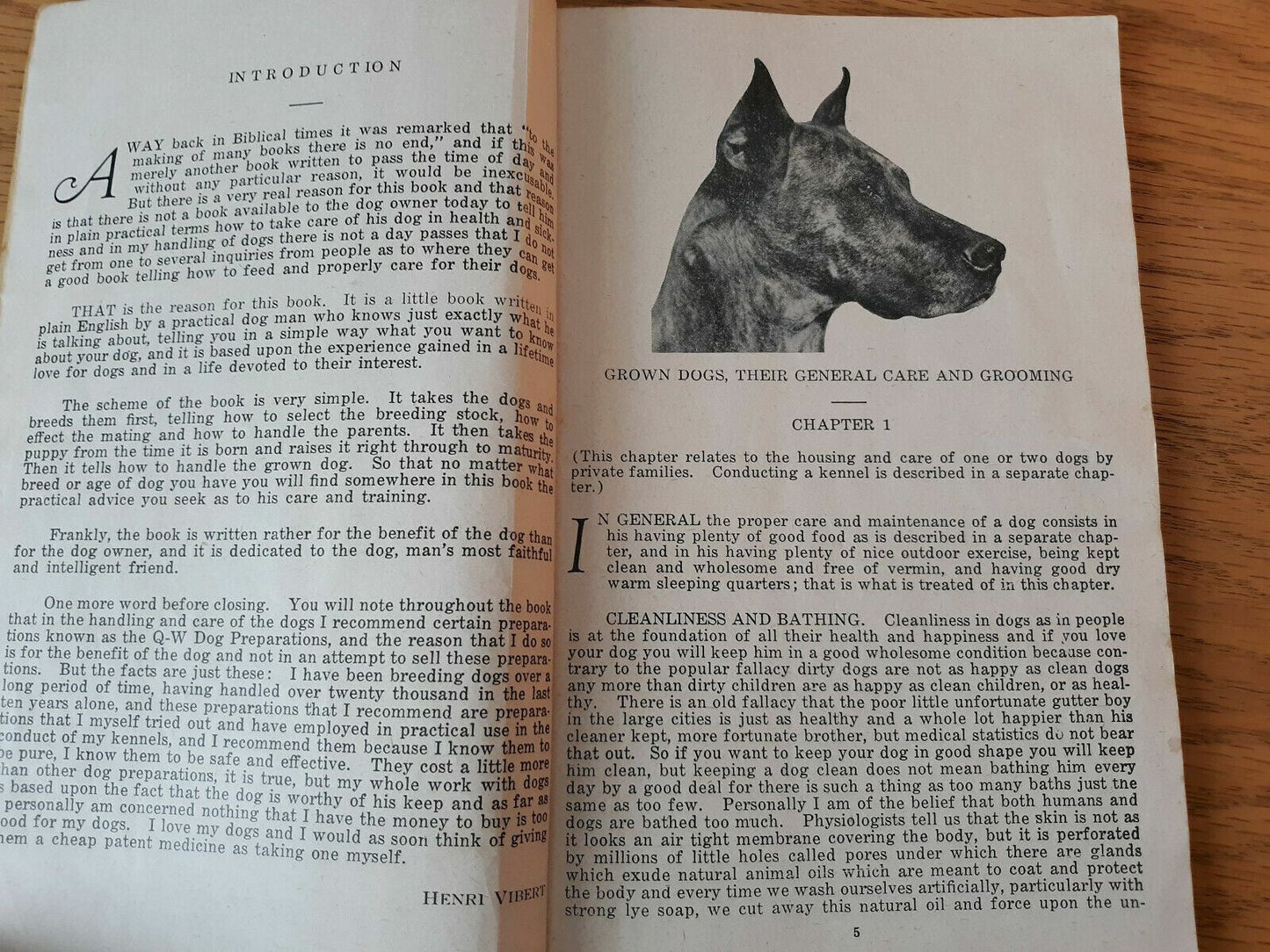 All About Dogs by Henri Vibert, How to Feed, Train and Care for all Breeds 1936