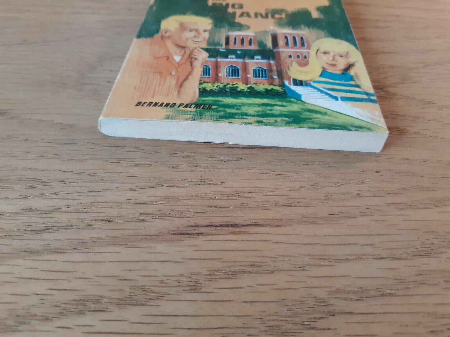 Danny Orlis His Big Chance by Bernard Palmer (Small Paperback, 1958)