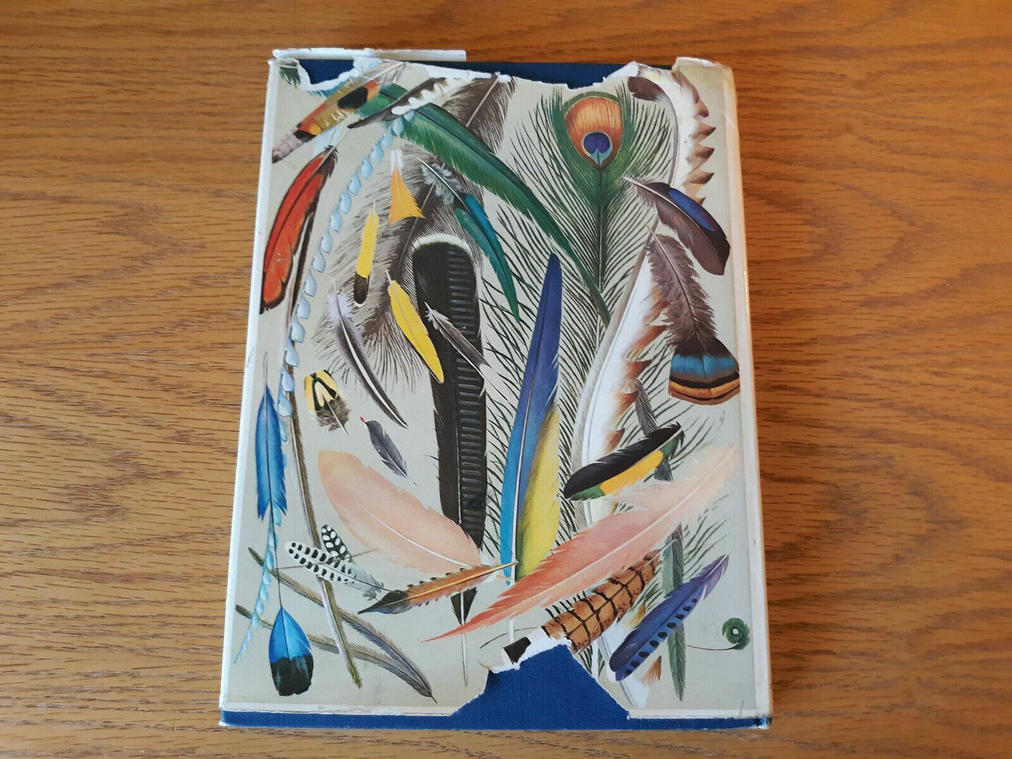 James Fisher And Roger Tory Peterson's World Of Birds New & Revised Edition