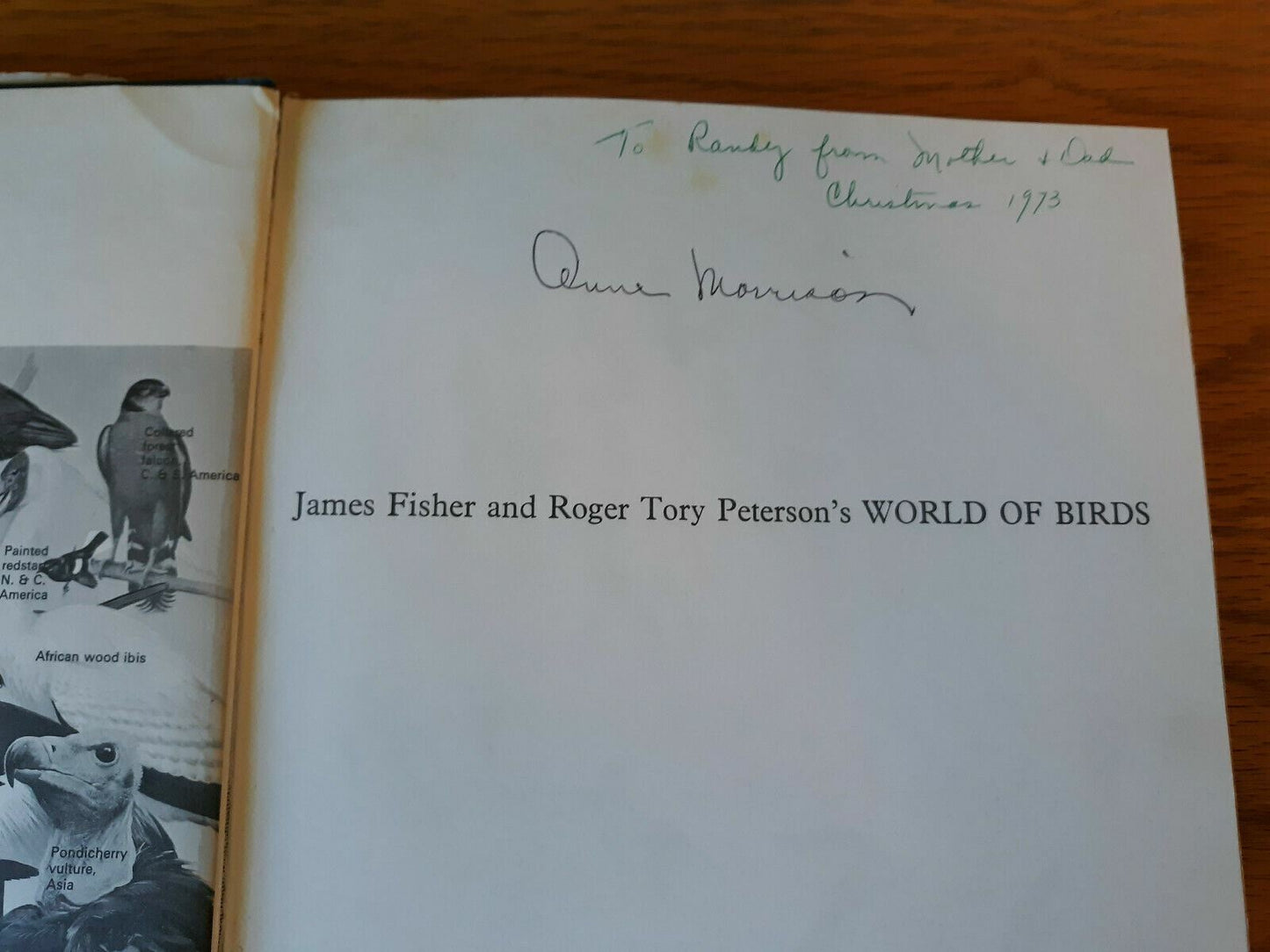 James Fisher And Roger Tory Peterson's World Of Birds New & Revised Edition