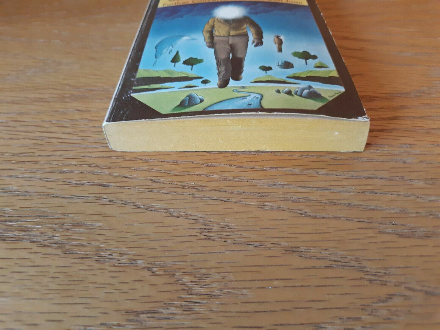 A Separate Reality by Carlos Castaneda, Pocket Books paperback, 1976