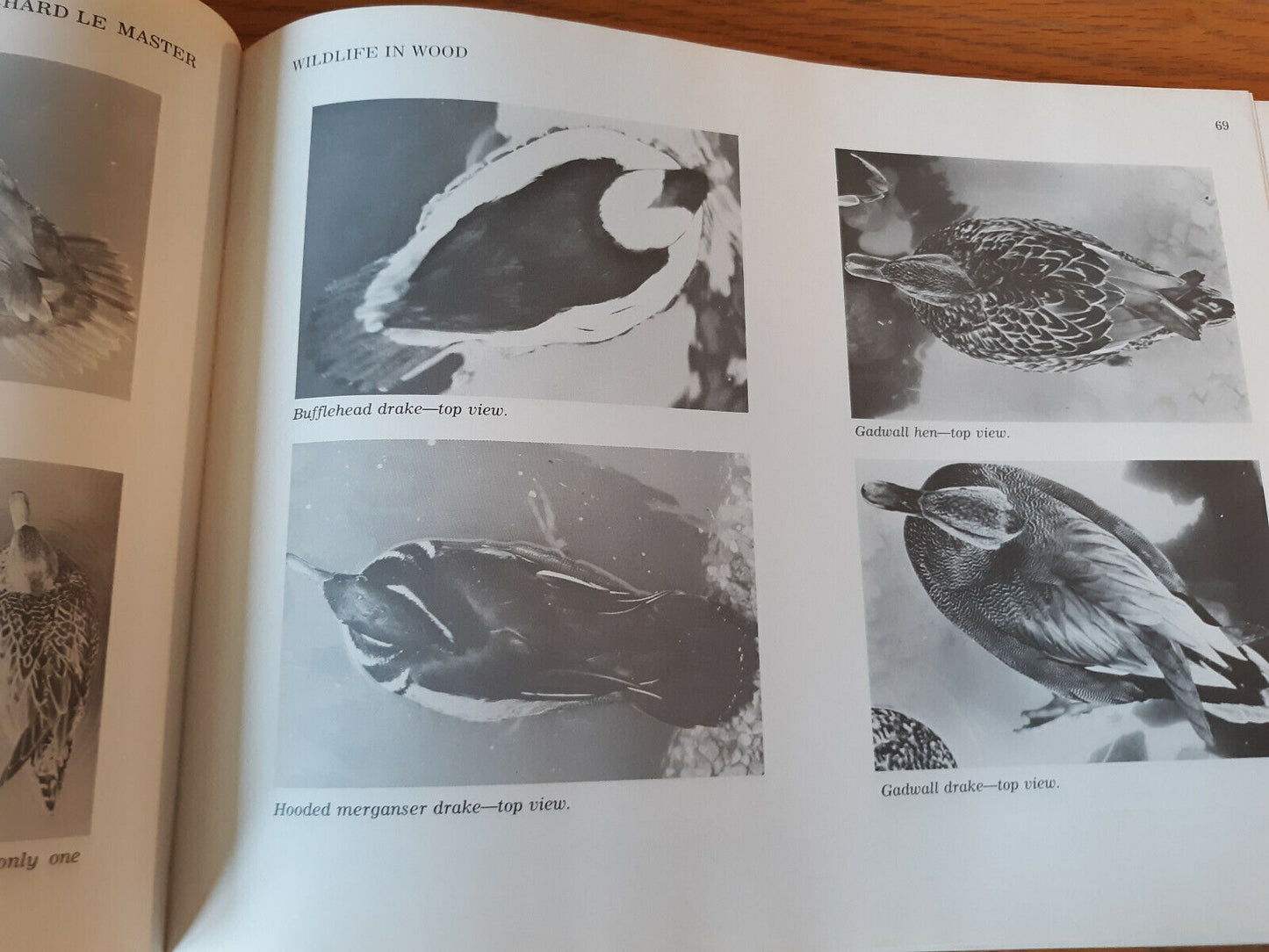 1978 Wildlife In Wood Richard Le Master Signed Hardcover Contemporary Books