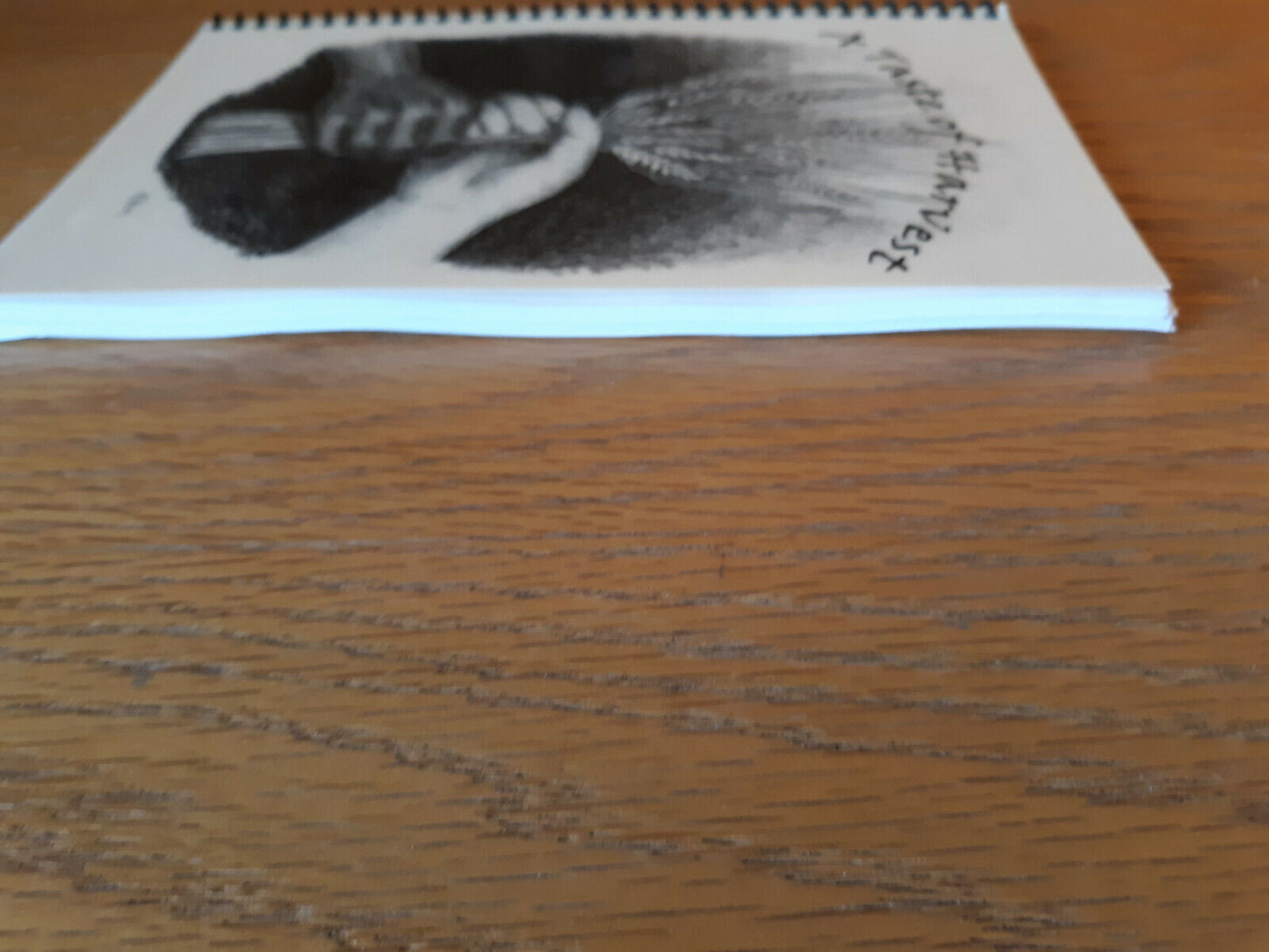 A Taste Of Harvest 2008 Wayzata Free And Rock Church Cookbook