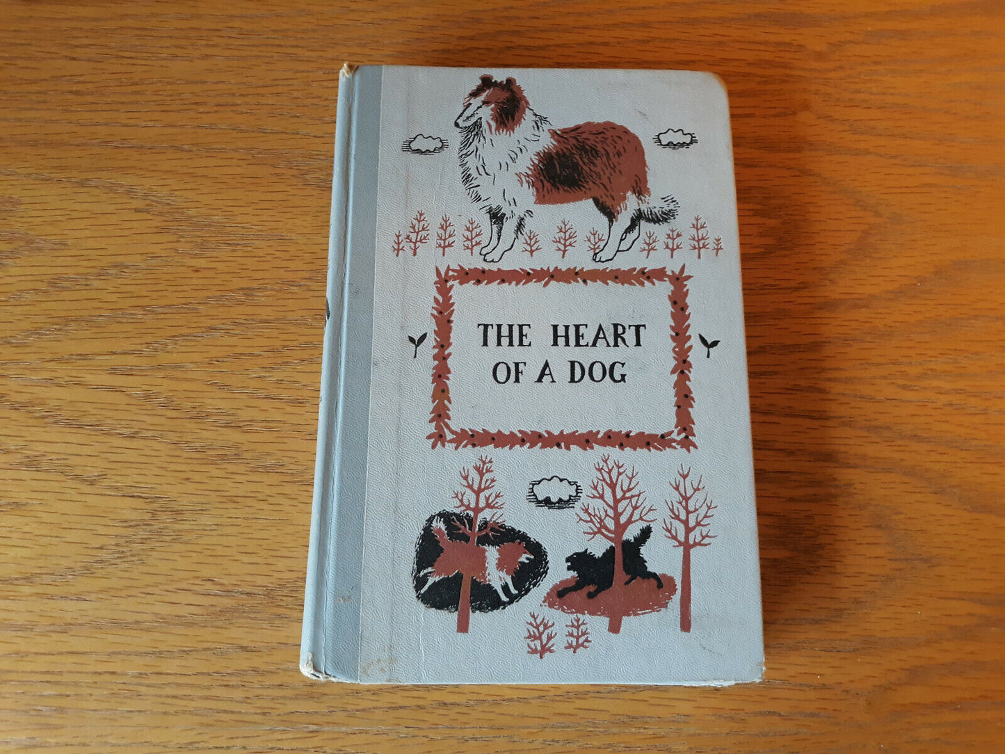 The Heart of A Dog Junior Deluxe Editions Hardcover Albert Payson Terhune 1924