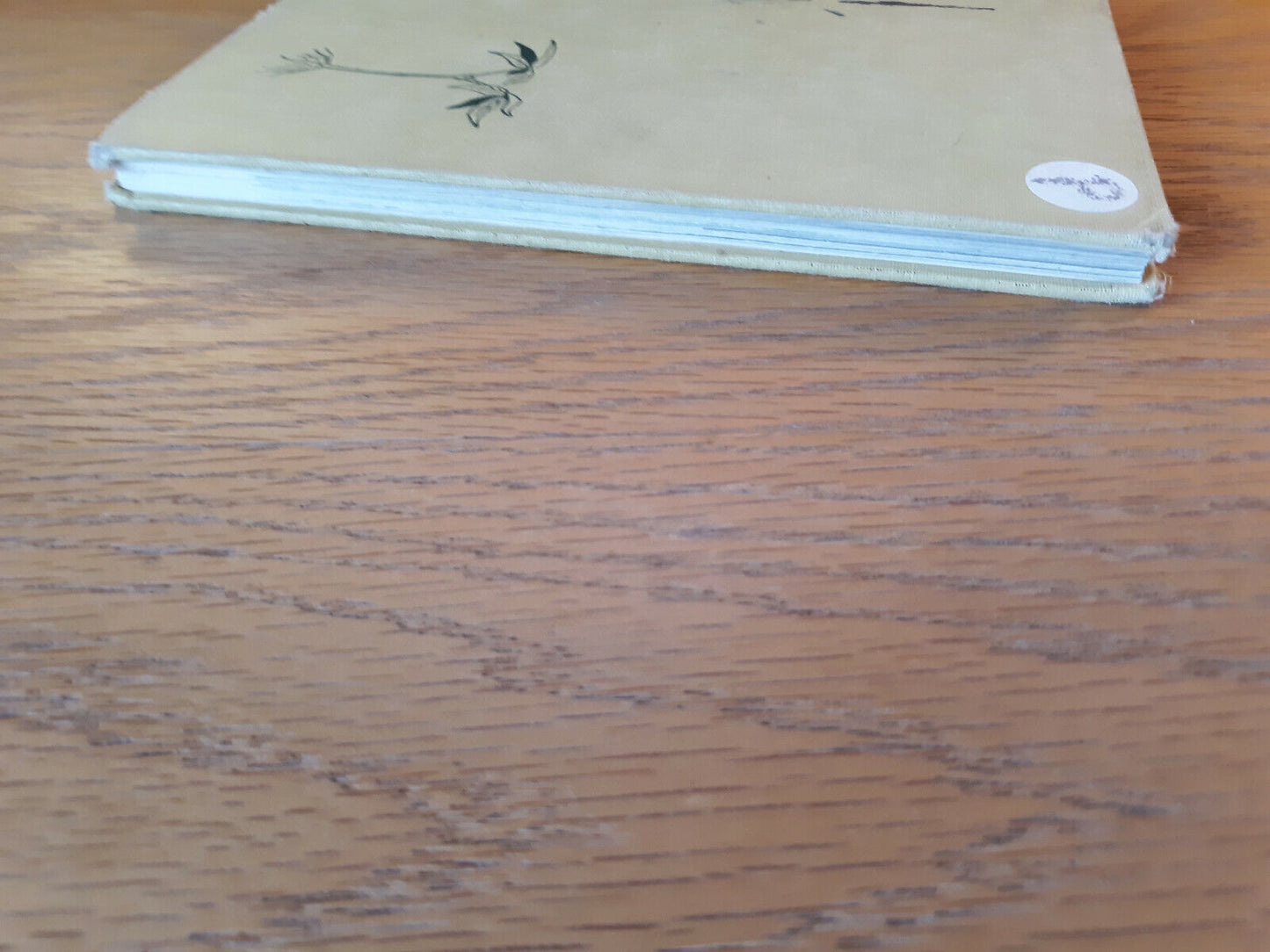 A Tree Is Born J M Guilcher 1960 Sterling Nature Series Sterling Publishing Hard