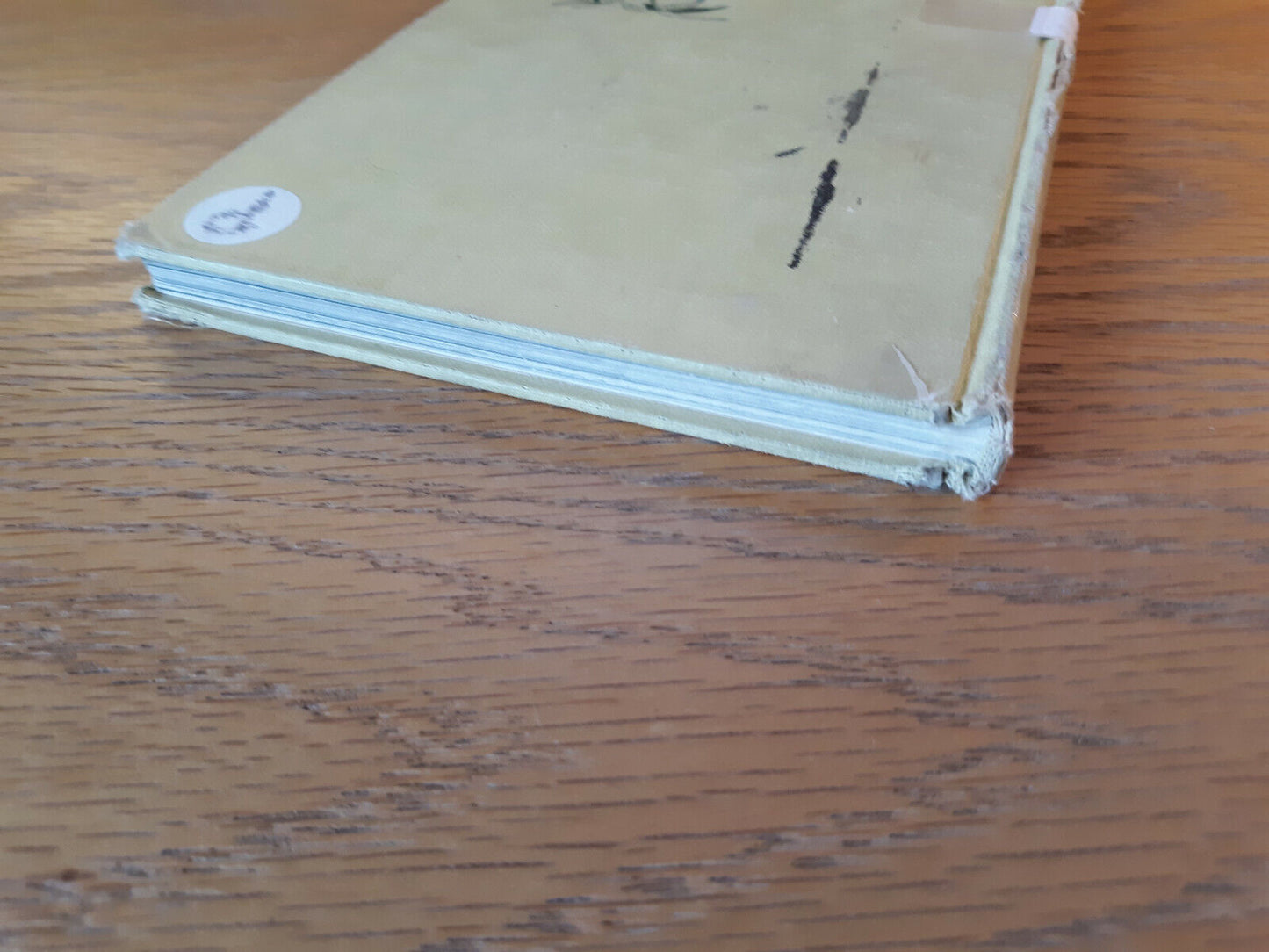 A Tree Is Born J M Guilcher 1960 Sterling Nature Series Sterling Publishing Hard