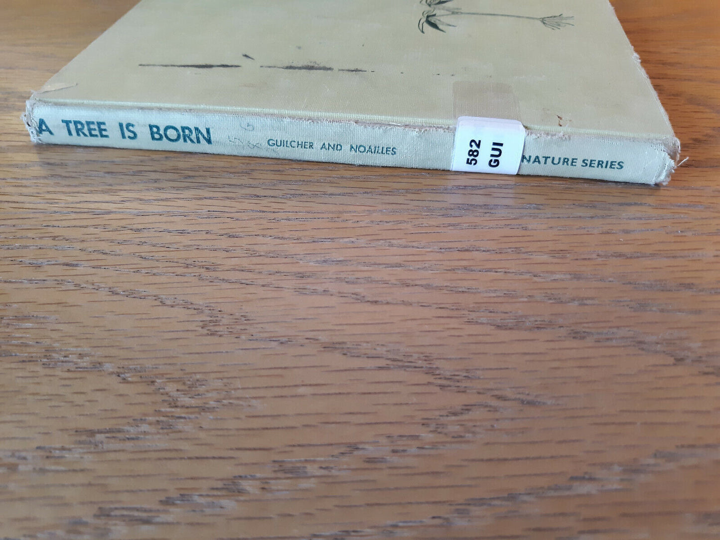 A Tree Is Born J M Guilcher 1960 Sterling Nature Series Sterling Publishing Hard