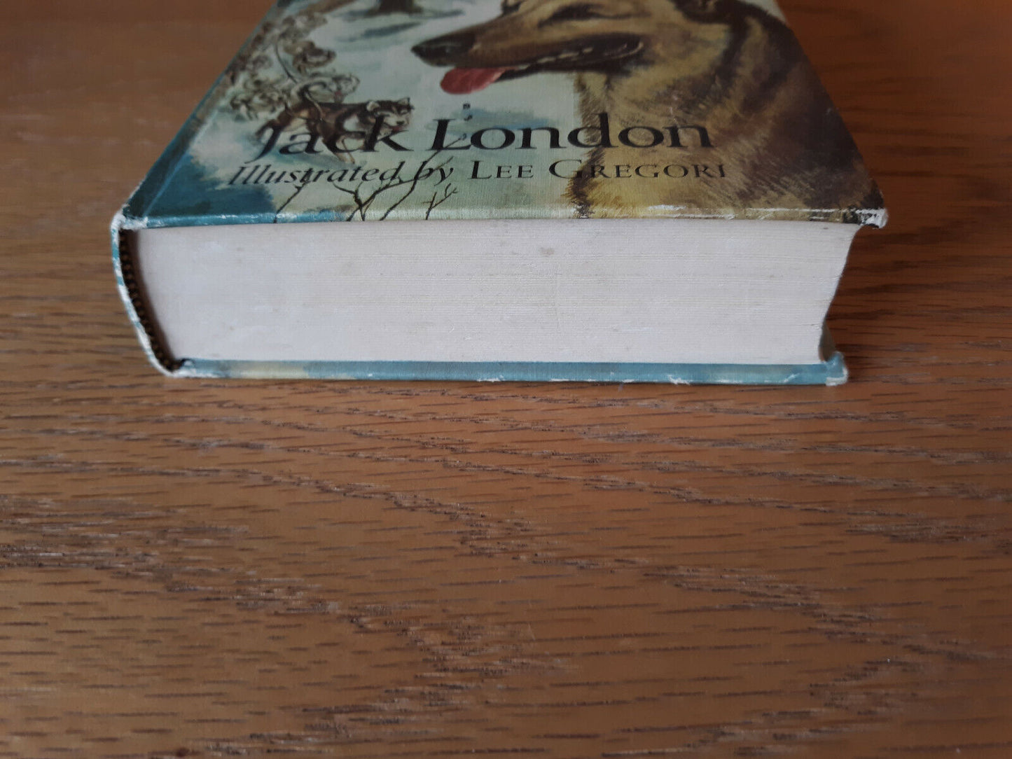 1963 the Call of the Wild / Black Beauty Companion Library Hardcover