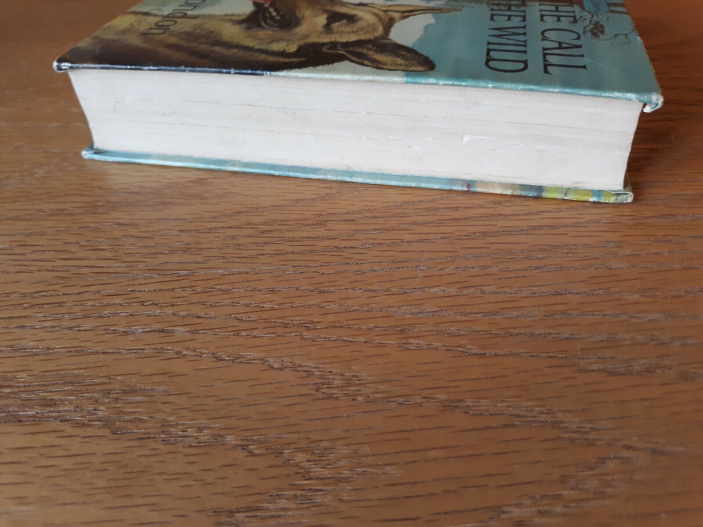 1963 the Call of the Wild / Black Beauty Companion Library Hardcover