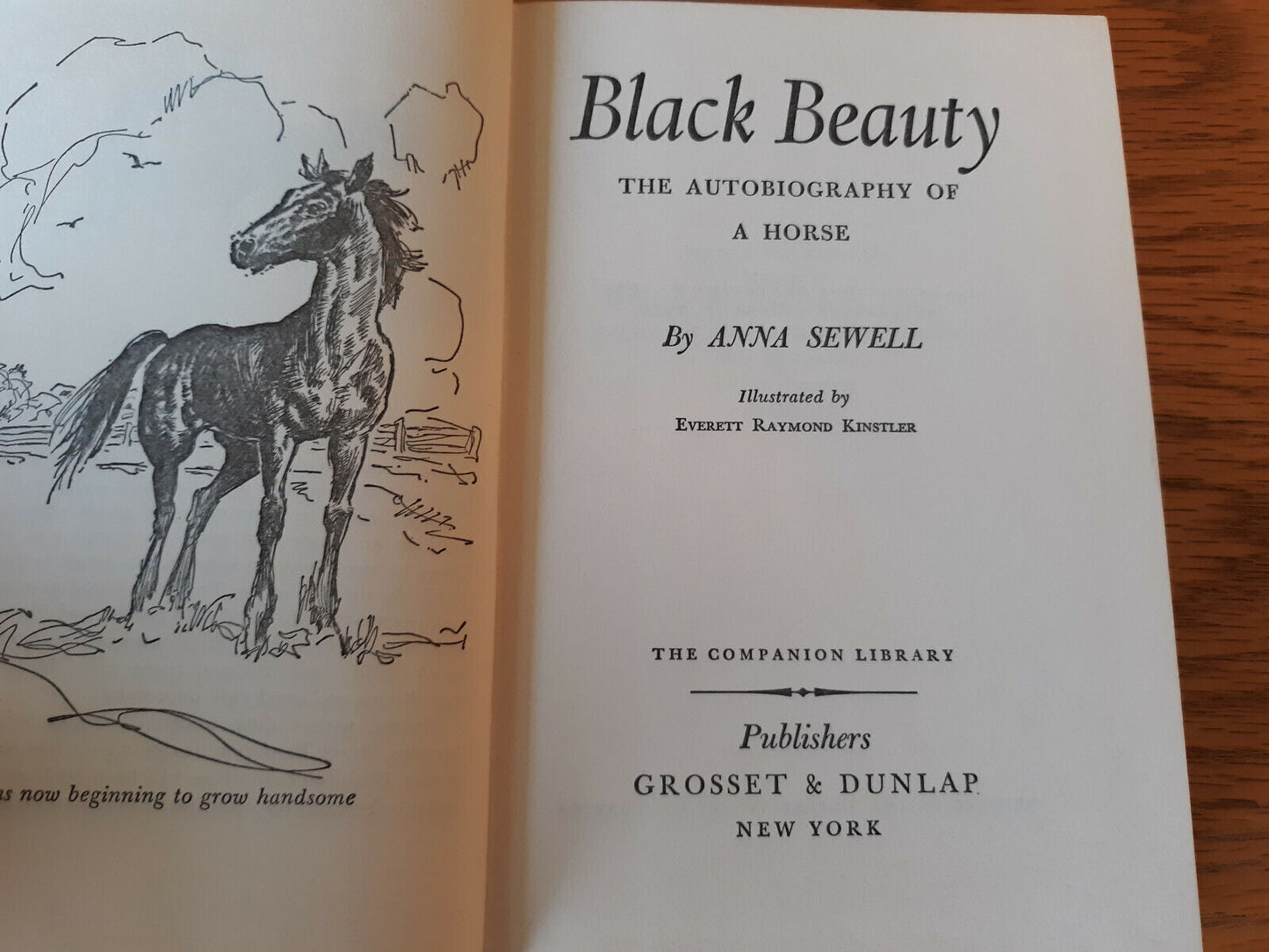 1963 the Call of the Wild / Black Beauty Companion Library Hardcover