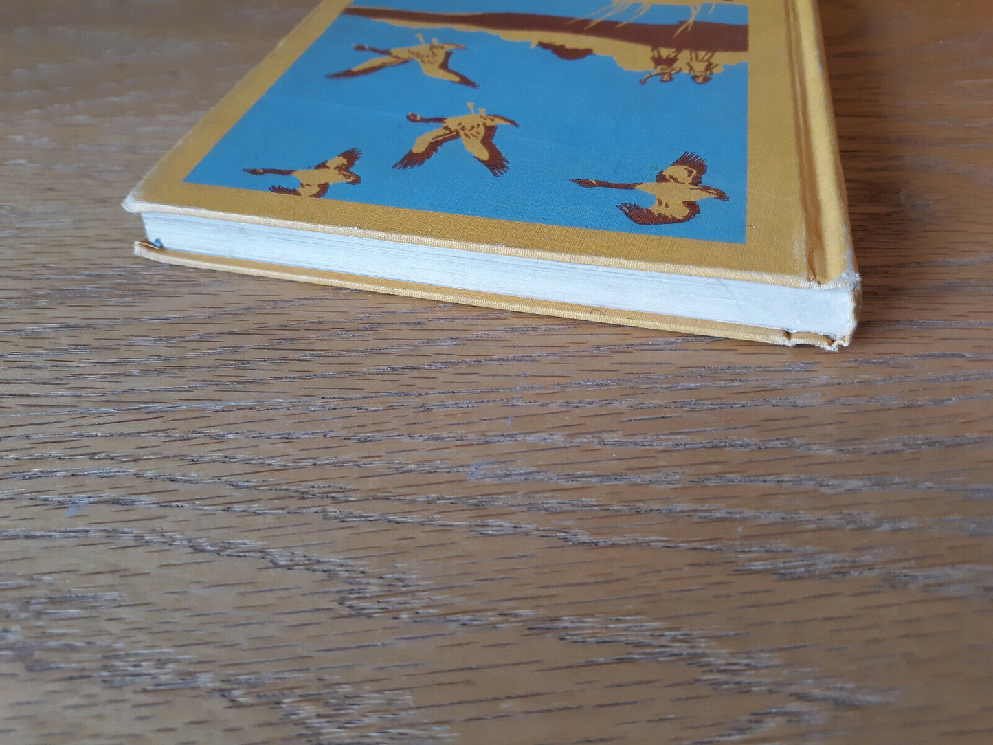 Adventures in Science With Jane and Paul Level 3 1945 Hardcover