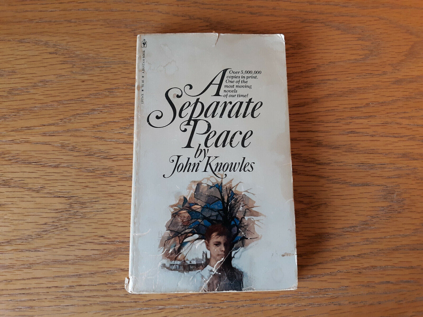 A Separate Peace John Knowles 1979 Bantam Books Paperback