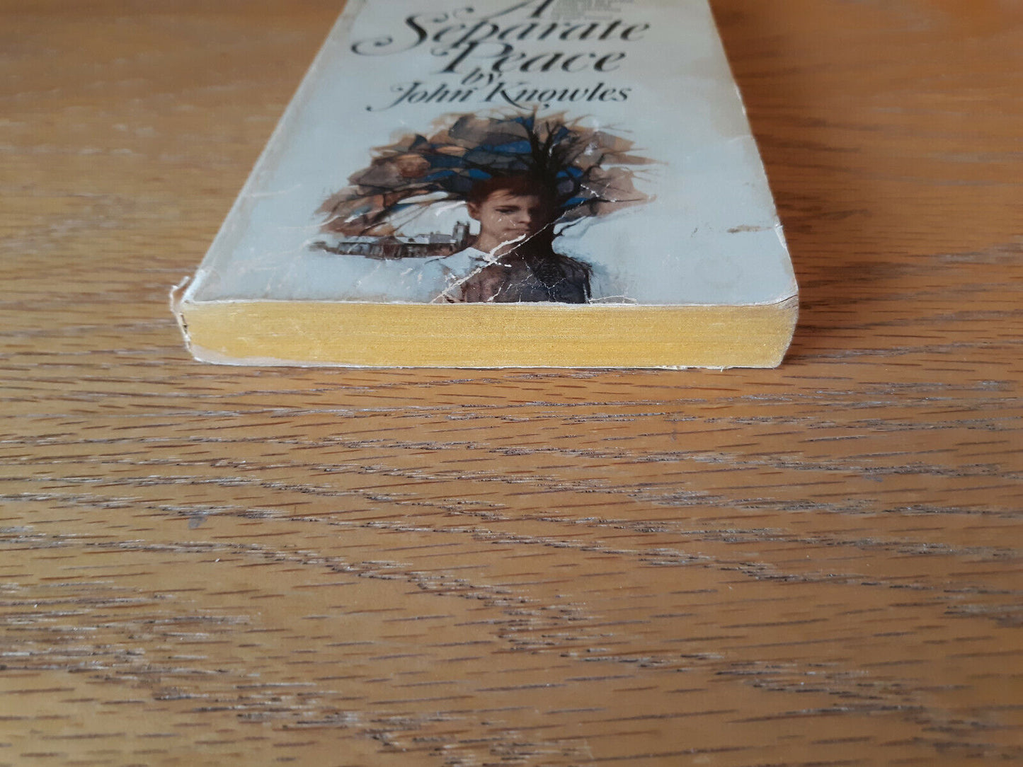 A Separate Peace John Knowles 1979 Bantam Books Paperback