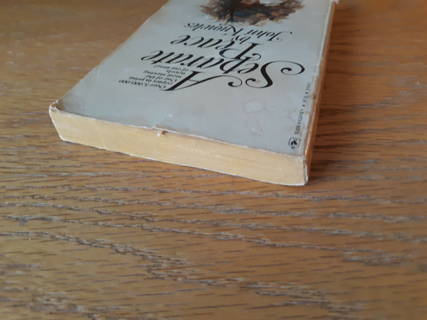 A Separate Peace John Knowles 1979 Bantam Books Paperback