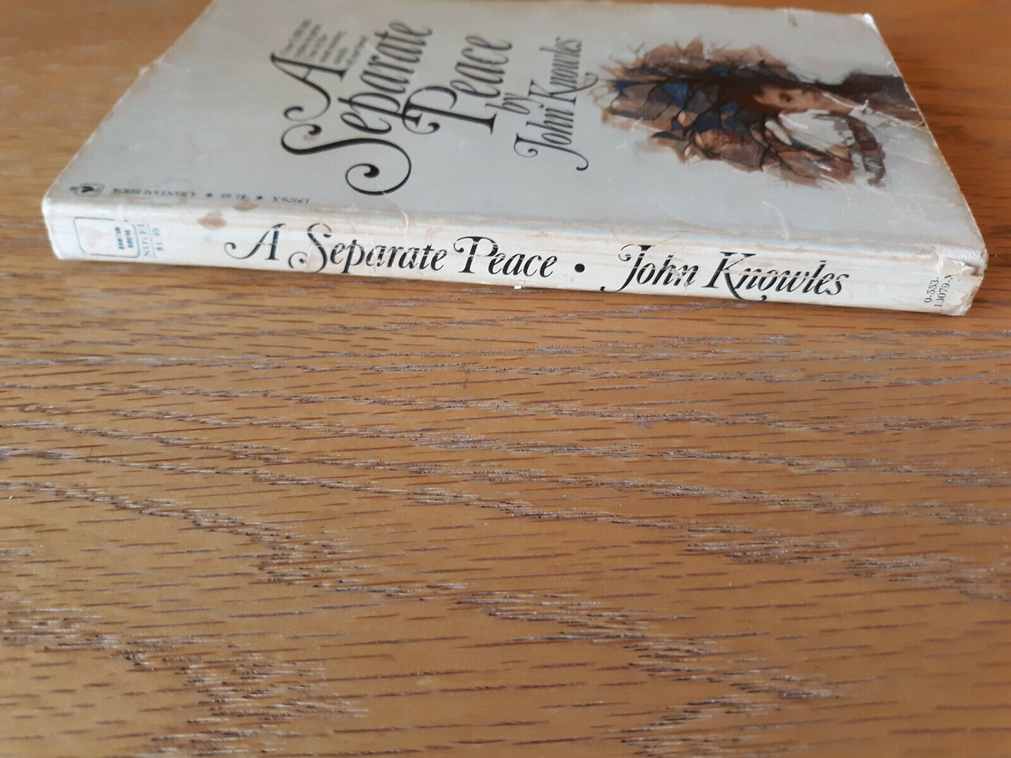 A Separate Peace John Knowles 1979 Bantam Books Paperback