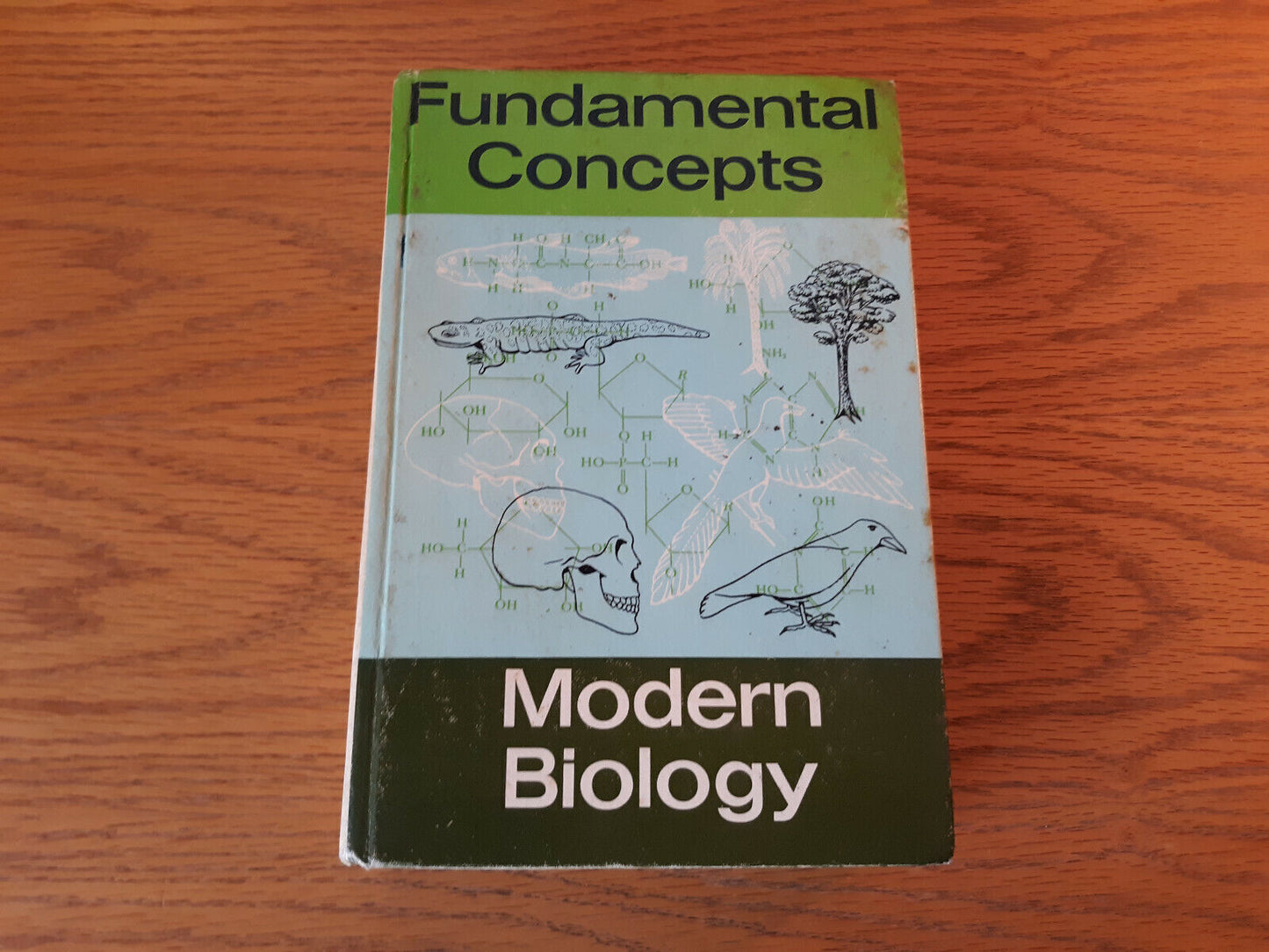 Fundamental Concepts Of Modern Biology By Sebastian Haskel 1972 Hardcover