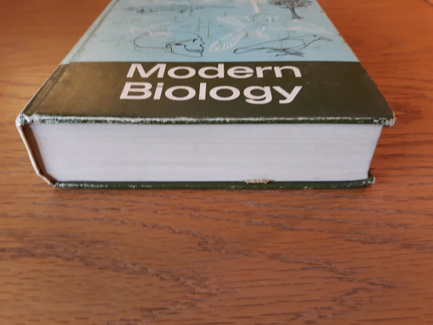 Fundamental Concepts Of Modern Biology By Sebastian Haskel 1972 Hardcover