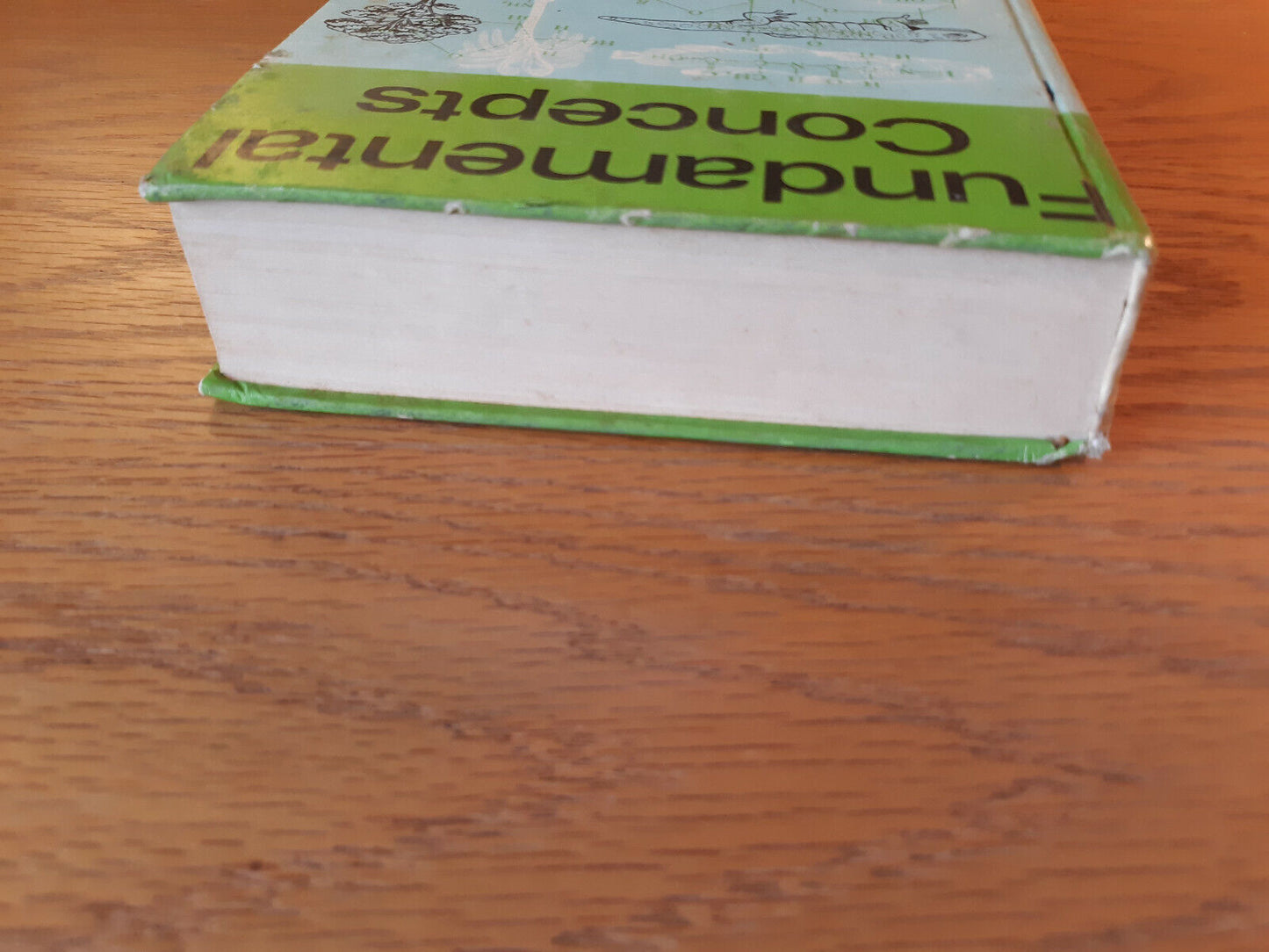 Fundamental Concepts Of Modern Biology By Sebastian Haskel 1972 Hardcover