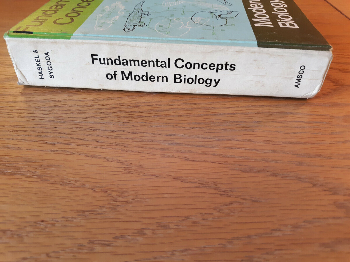 Fundamental Concepts Of Modern Biology By Sebastian Haskel 1972 Hardcover