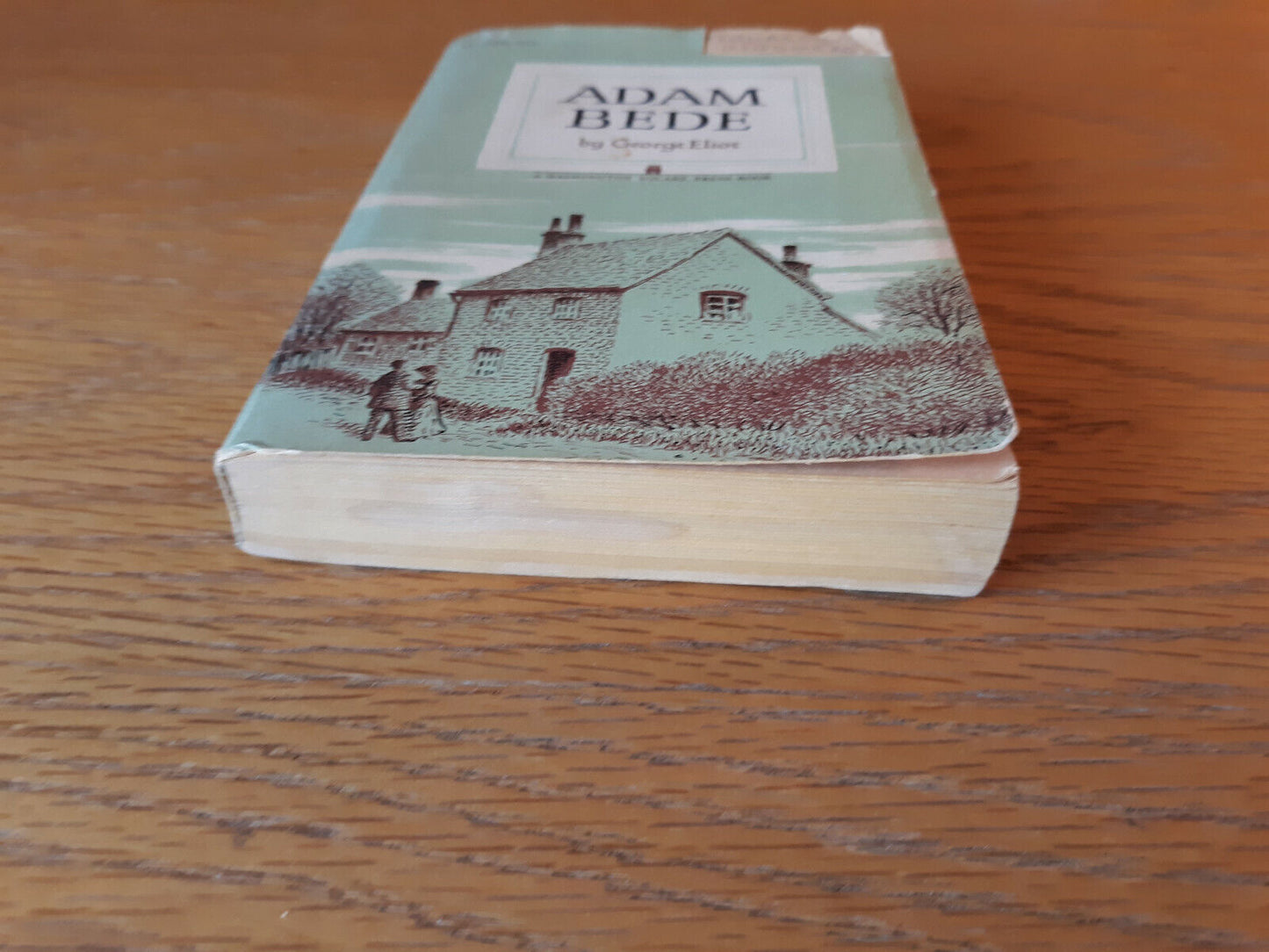 Adam Bede George Eliot 1961 Washington Square Press Paperback