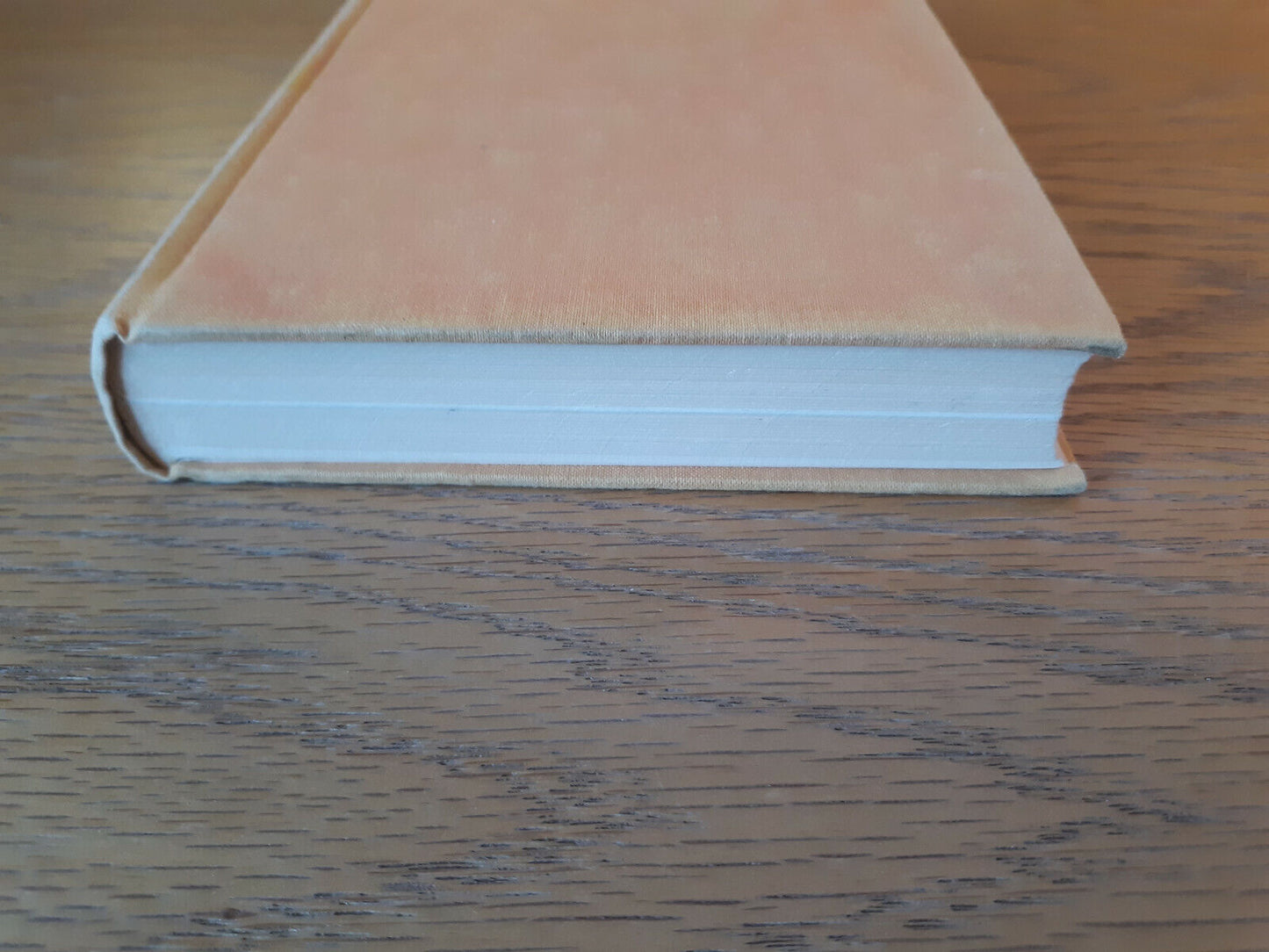 1001 Questions Answered About Birds Allan D Cruickshank 1958 Hardcover Dodd, Mea