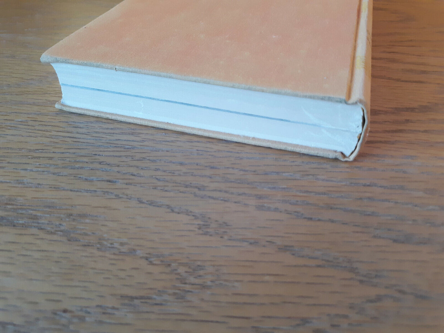1001 Questions Answered About Birds Allan D Cruickshank 1958 Hardcover Dodd, Mea