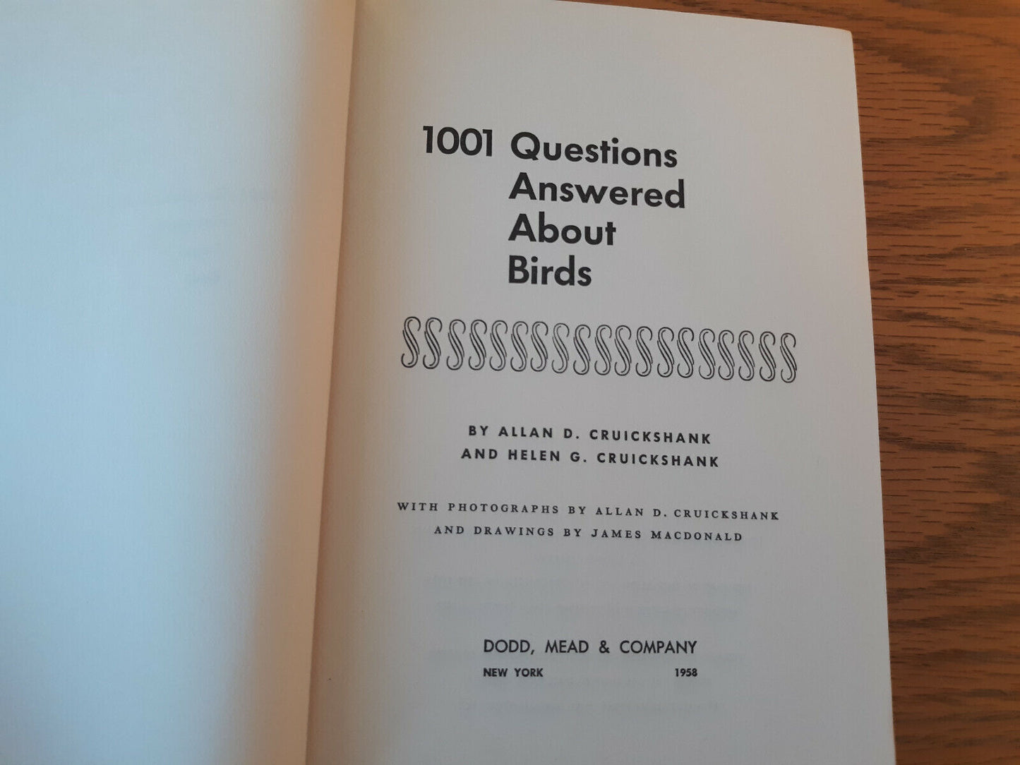 1001 Questions Answered About Birds Allan D Cruickshank 1958 Hardcover Dodd, Mea