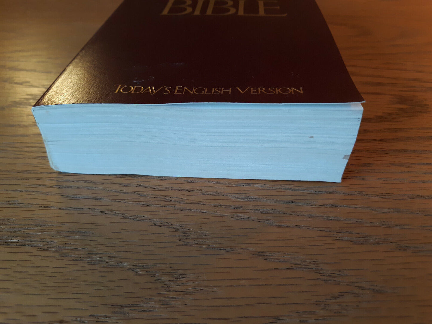 Good News Bible Todays English Version 1992 Paperback American Bible Society