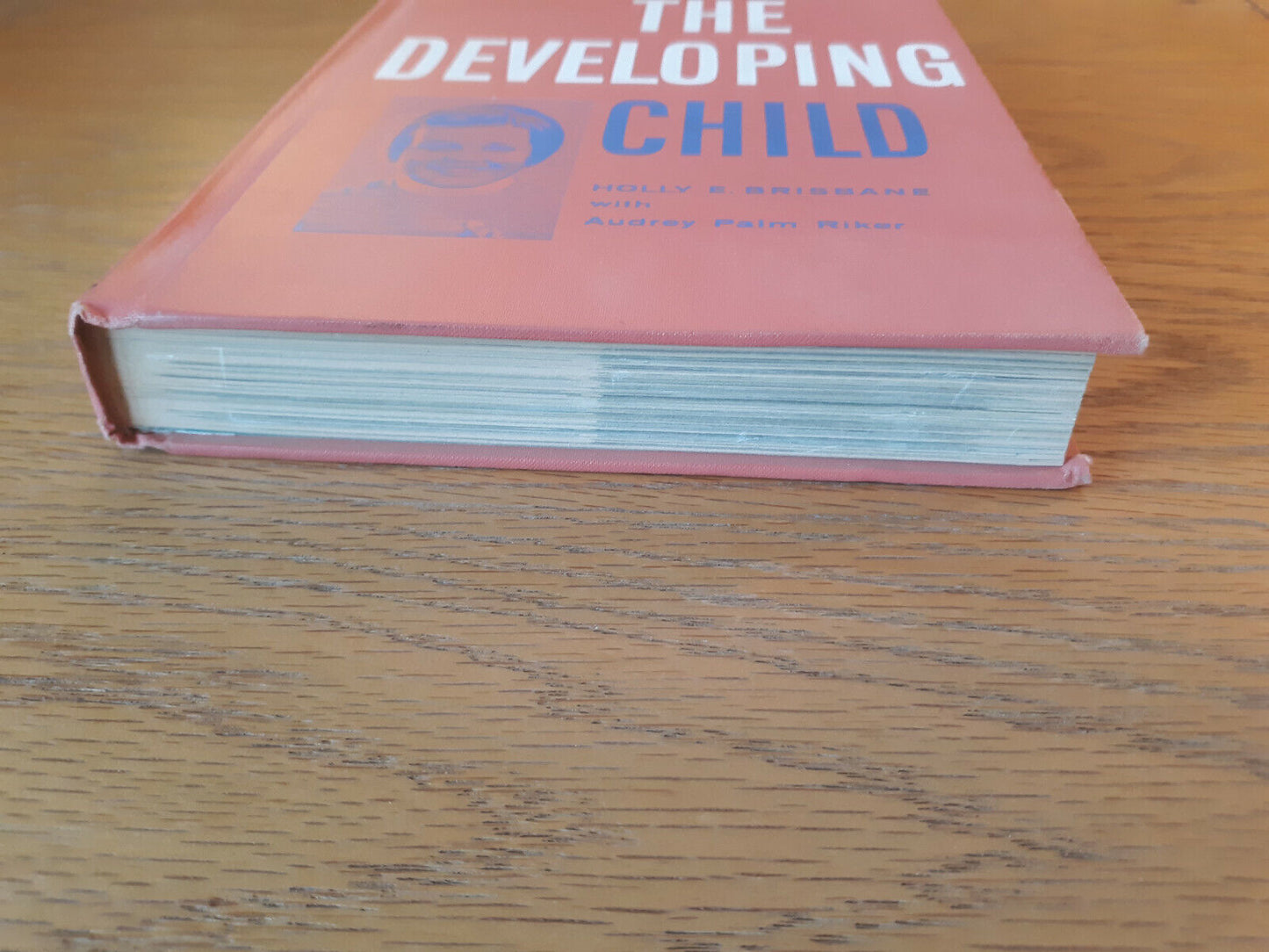 The Developing Child Holly E Brisbane 1965 Hardcover Chas. A Bennett