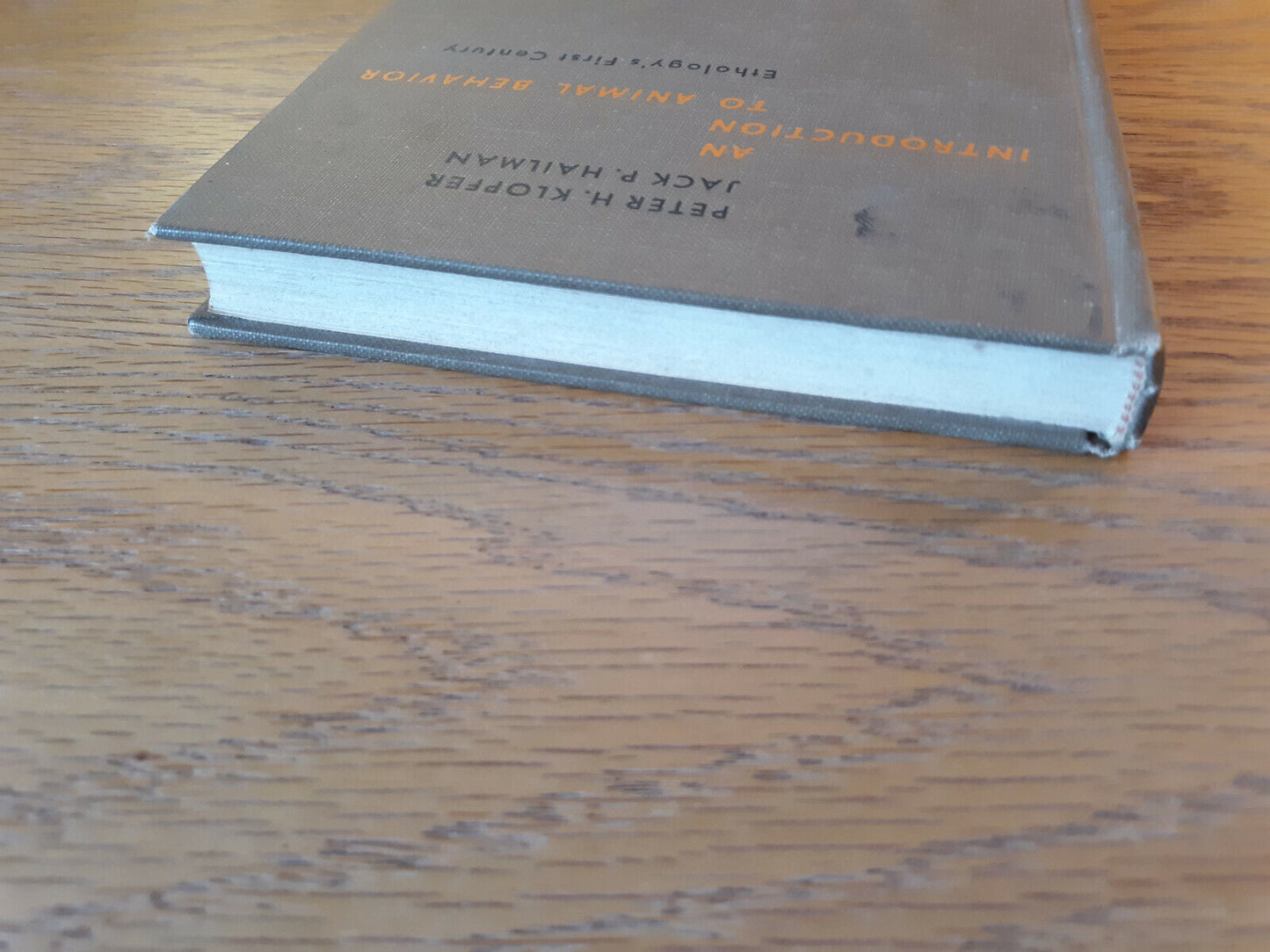 An Introduction To Animal Behavior Peter H Klopfer 1967 Hardcover Prentice Hall