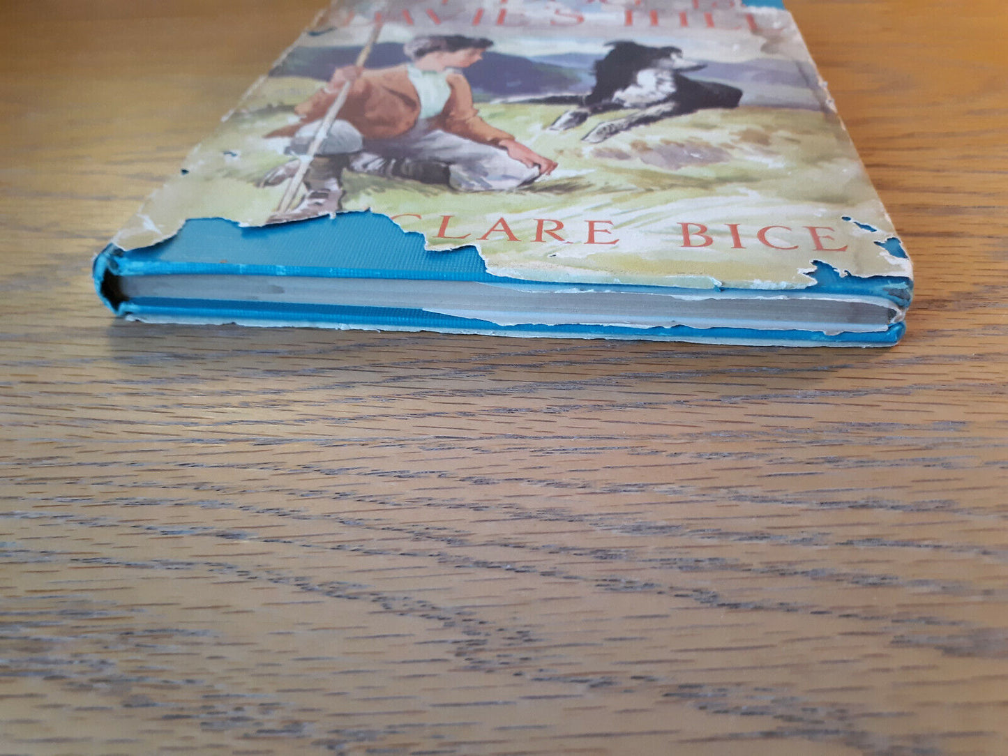 A Dog for Davie's Hill (Weekly Reader Children's Book Club, HC 1957) Clare Bice