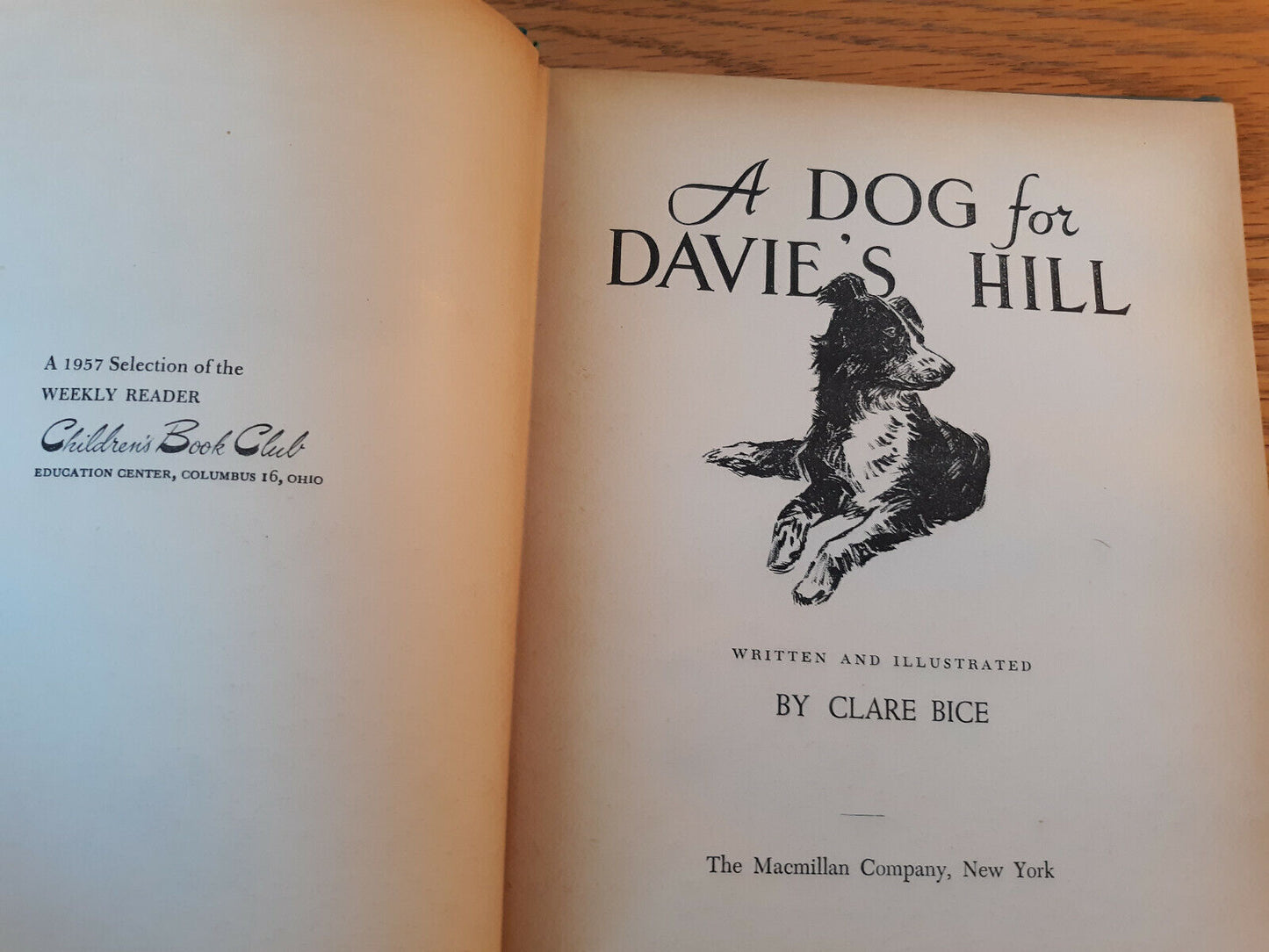 A Dog for Davie's Hill (Weekly Reader Children's Book Club, HC 1957) Clare Bice