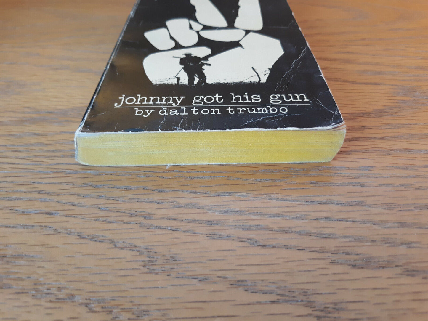 Johnny Got His Gun Dalton Trumbo 1976 Bantam Books Paperback