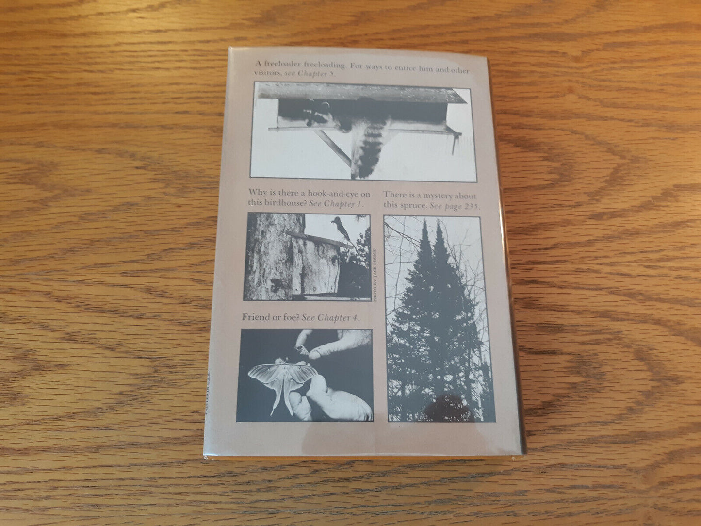 How To Talk To Birds Richard C Davids 1972 1st Ed Hardcover Dust Jacket Alfred A
