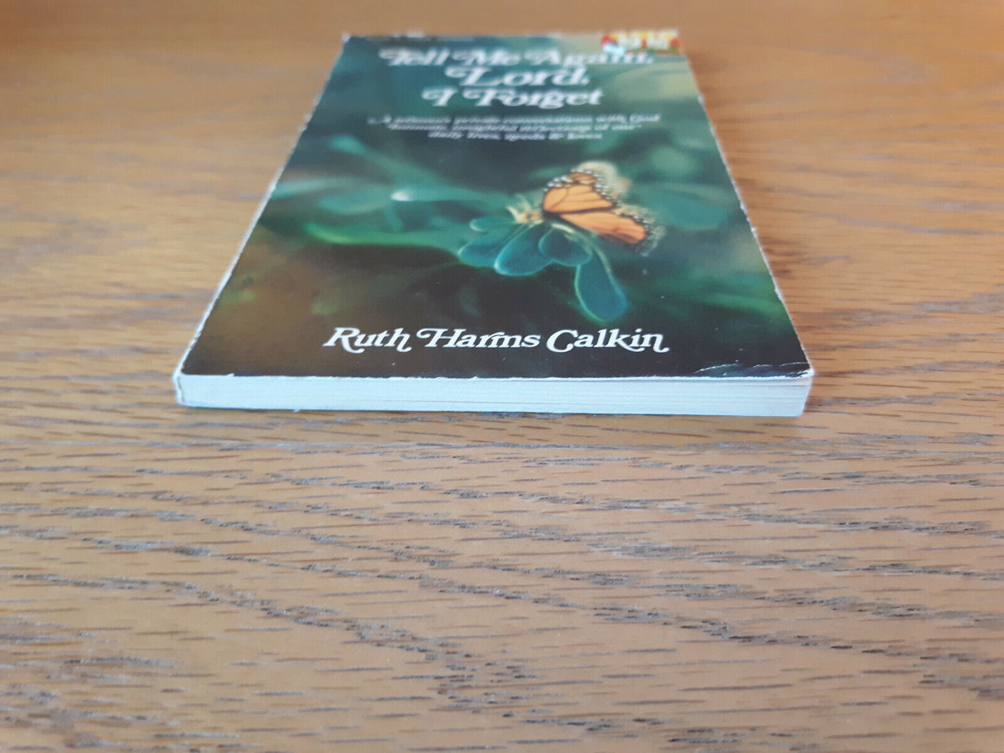 Tell Me Again Lord I Forget Ruth Harms Calkin 1974 David C Cook Paperback