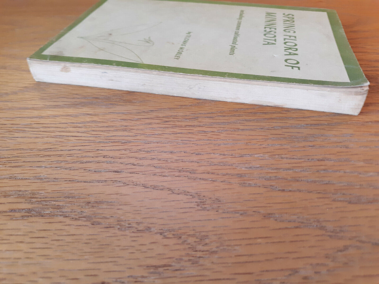 Spring Flora Of Minnesota Thomas Morley 1969 University Of Minnesota Press Paper