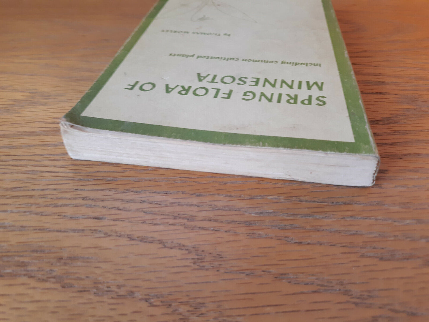 Spring Flora Of Minnesota Thomas Morley 1969 University Of Minnesota Press Paper