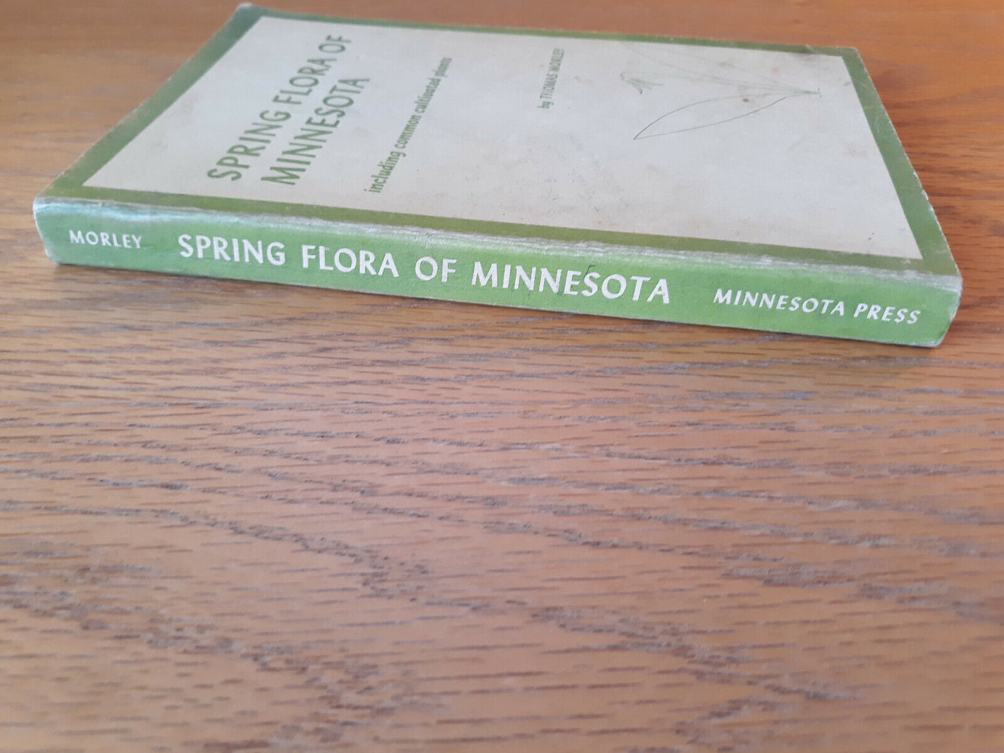 Spring Flora Of Minnesota Thomas Morley 1969 University Of Minnesota Press Paper