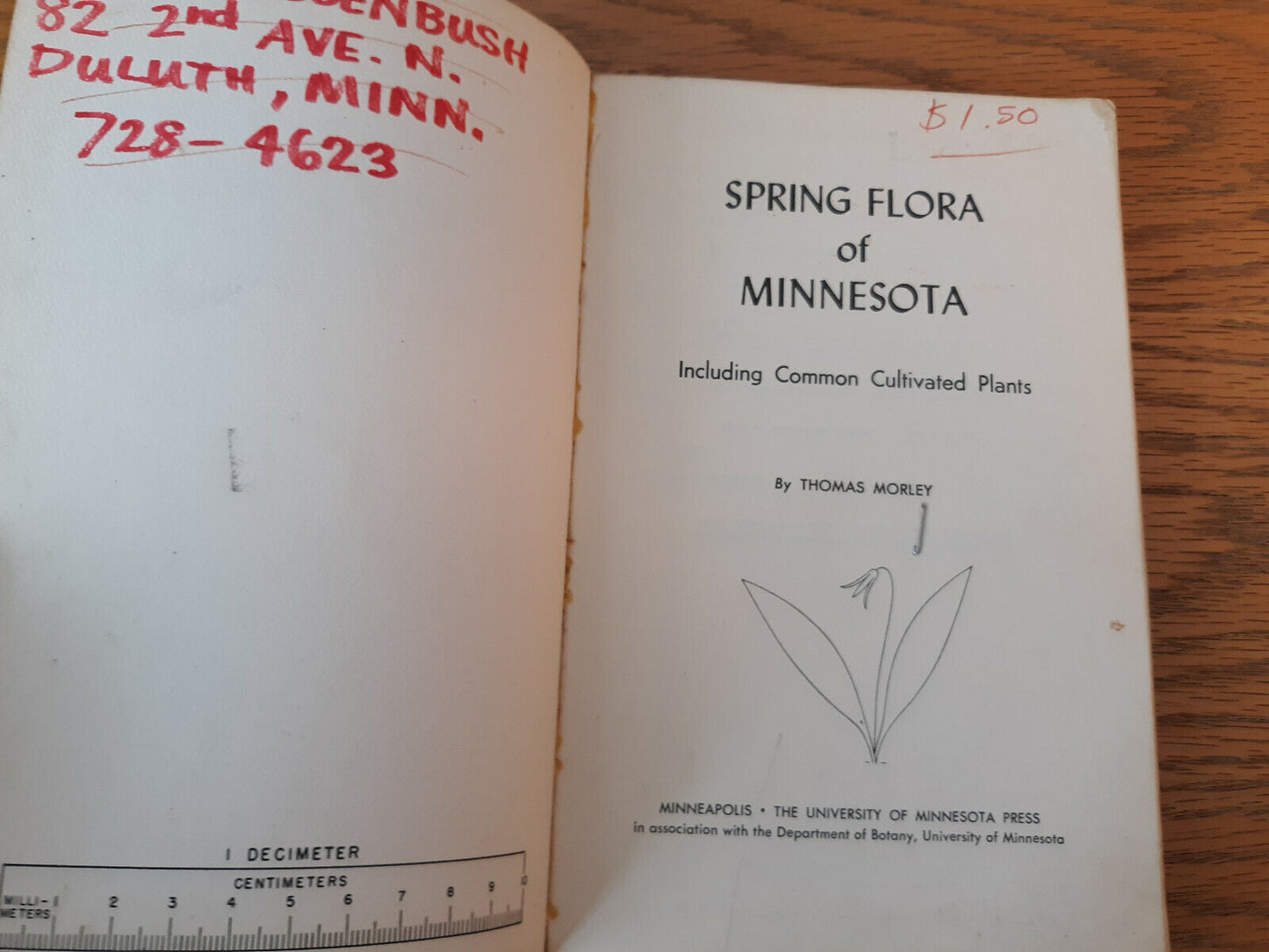 Spring Flora Of Minnesota Thomas Morley 1969 University Of Minnesota Press Paper