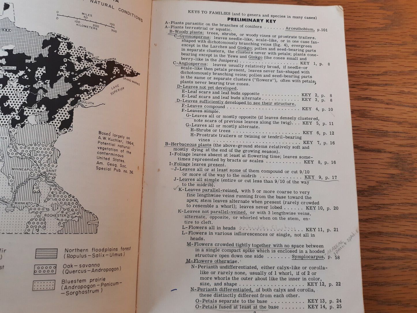 Spring Flora Of Minnesota Thomas Morley 1969 University Of Minnesota Press Paper