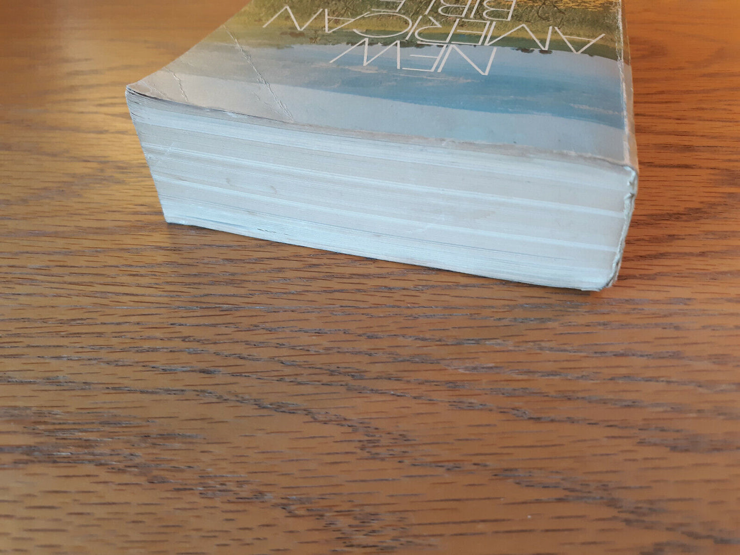 New American Bible St Joseph Medium Size Edition 1977 Paperback Catholic Book