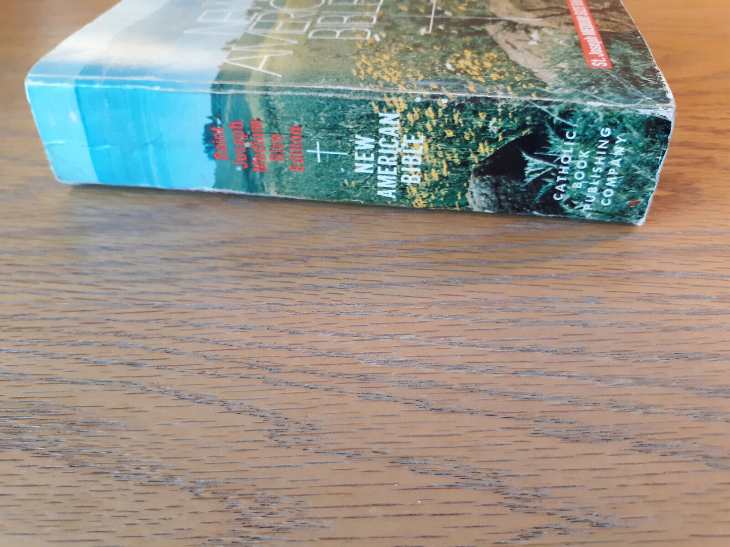 New American Bible St Joseph Medium Size Edition 1977 Paperback Catholic Book