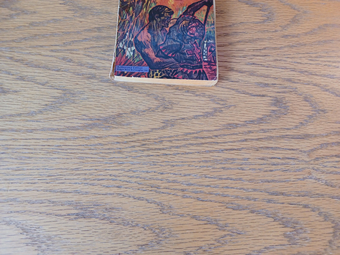 Edgar Rice Burroughs Tarzan Lord Of The Jungle 1963 Ballantine Books Paperback