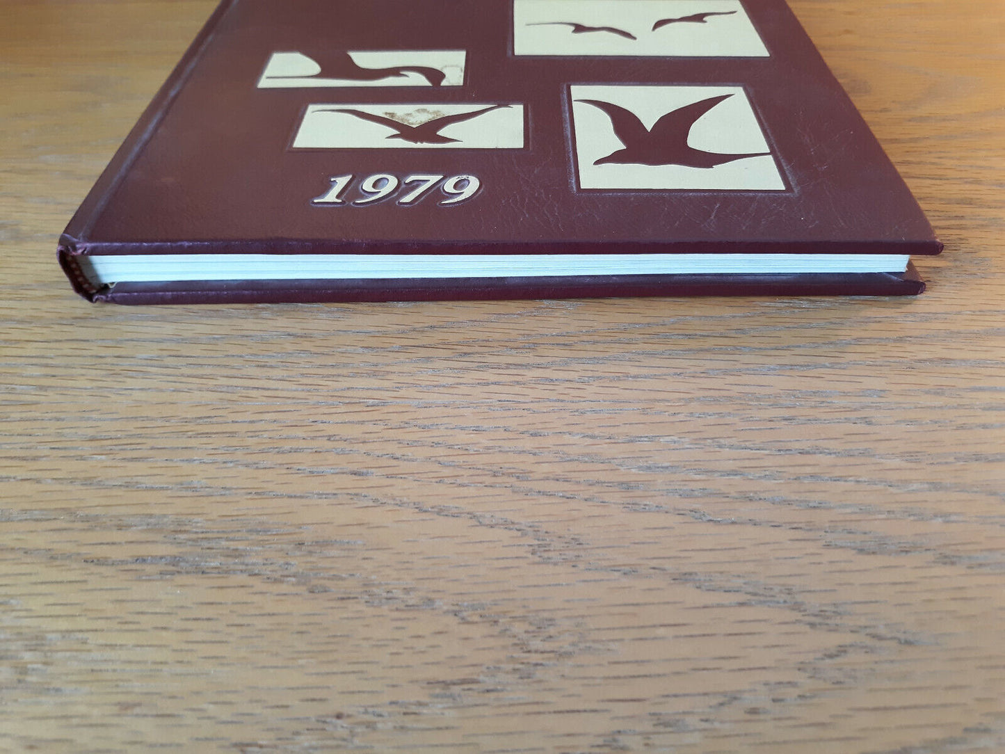 1979 Valley Green Passaic Valley High School Little Falls New Jersey Hardcover Y