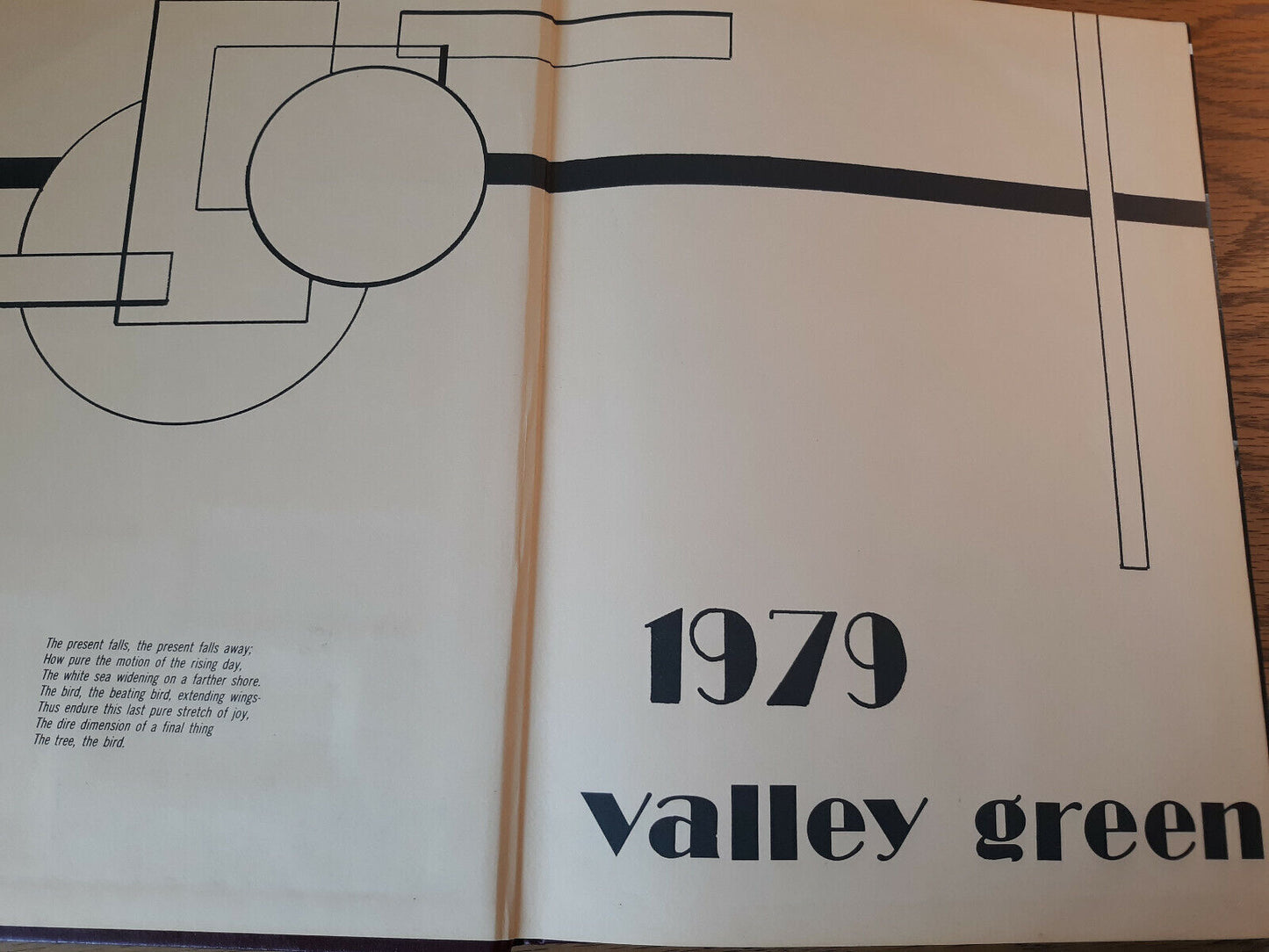 1979 Valley Green Passaic Valley High School Little Falls New Jersey Hardcover Y