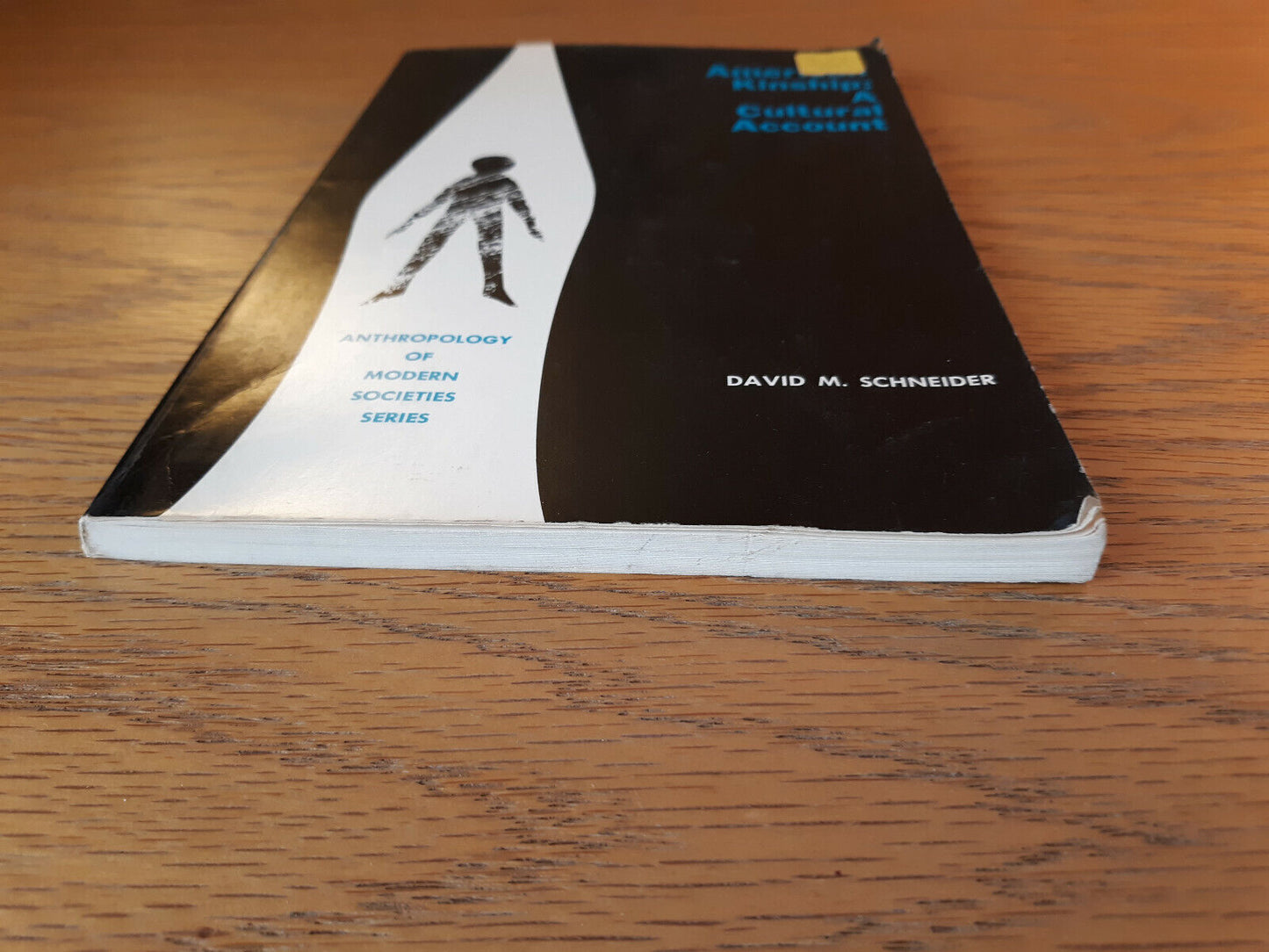American Kinship A Cultural Account David M Schneider 1968 Paperback Prentice Ha